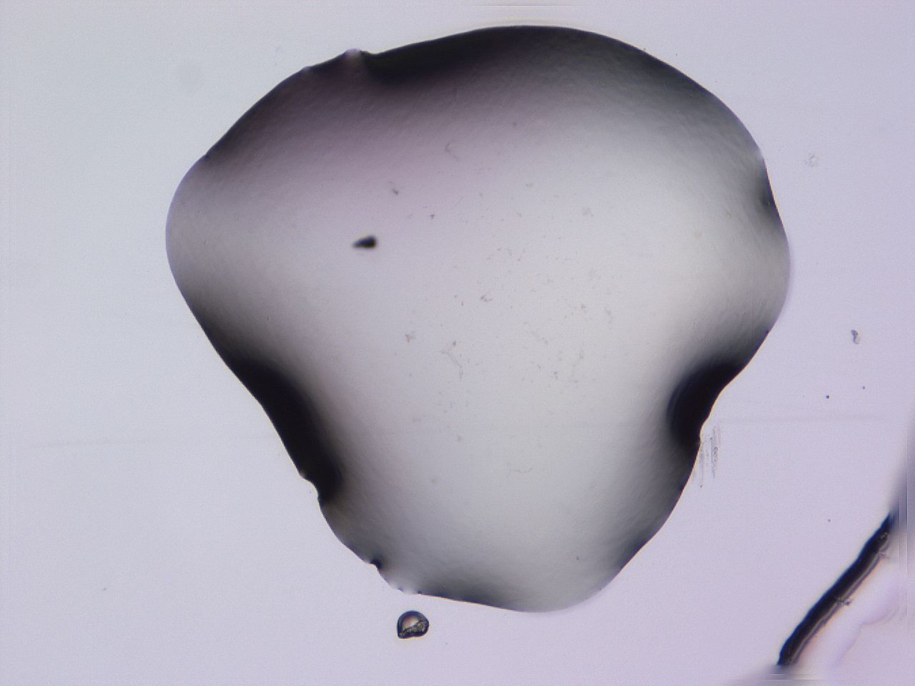 04gi_D11_ImagerDefaults_0.jpg