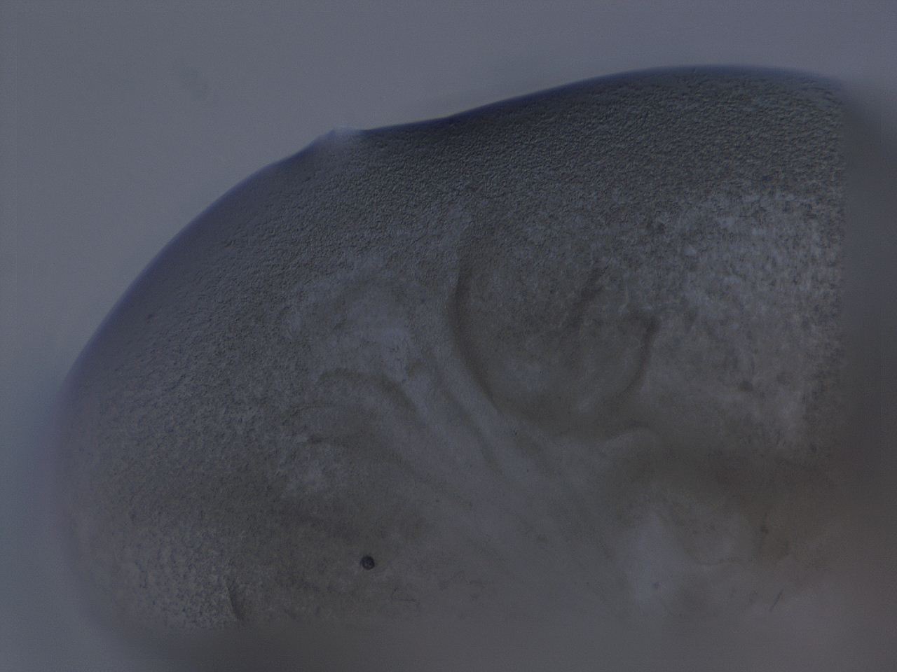 04gi_E2_ImagerDefaults_3.jpg