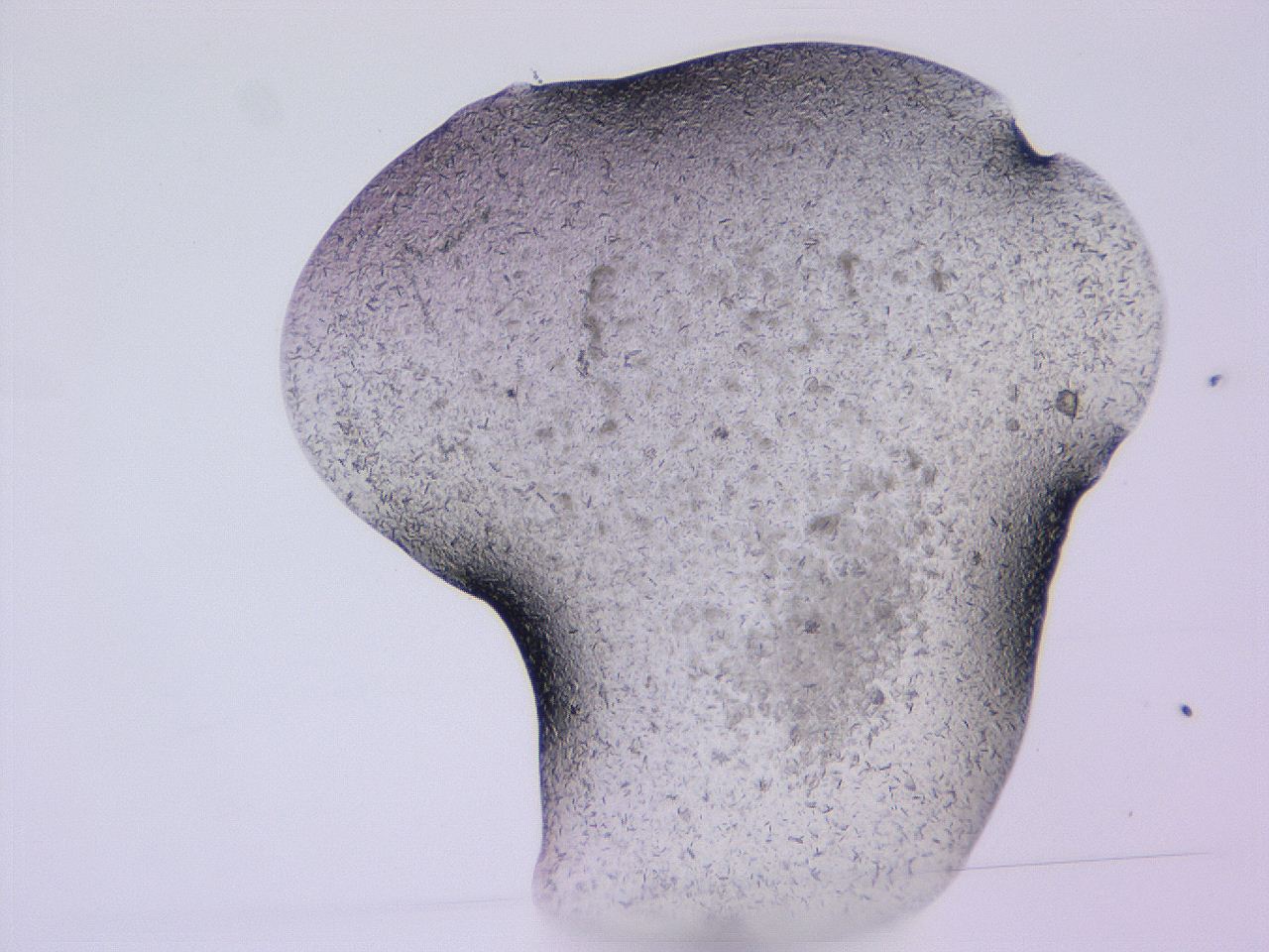 04gi_E3_ImagerDefaults_9.jpg