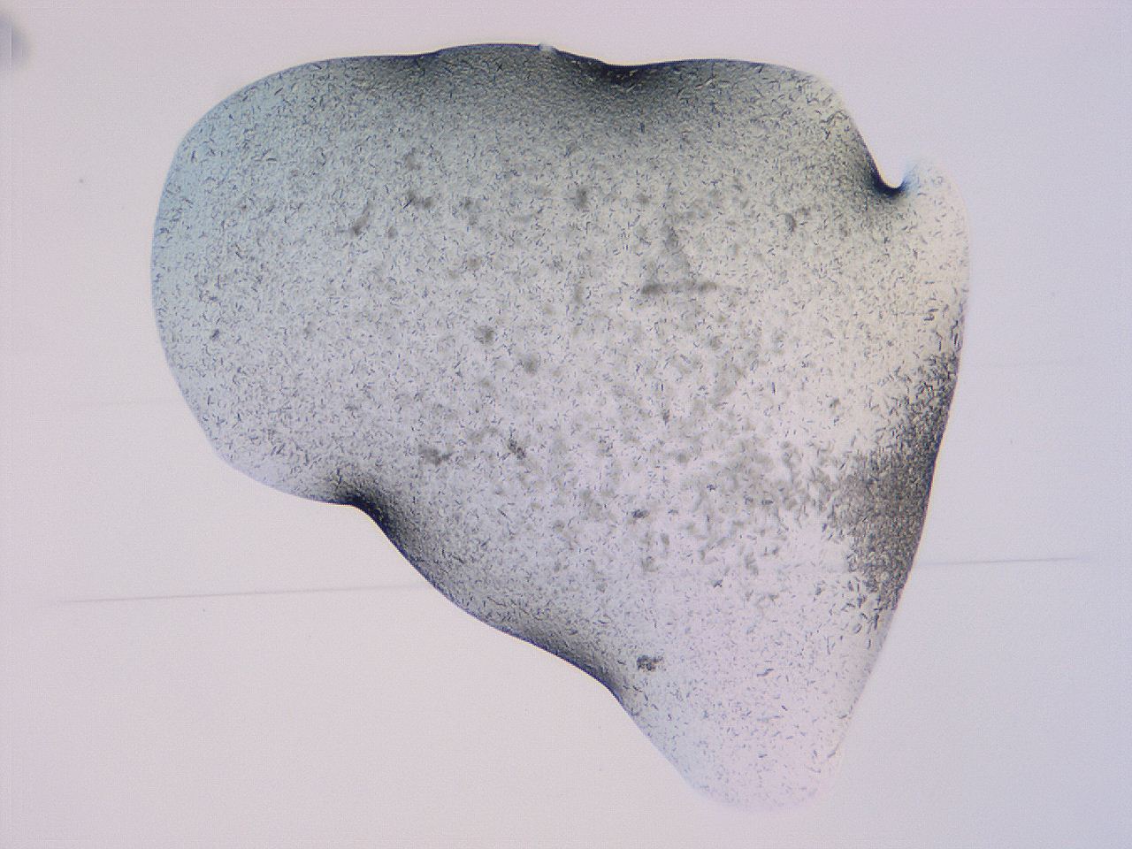 04gi_E4_ImagerDefaults_9.jpg