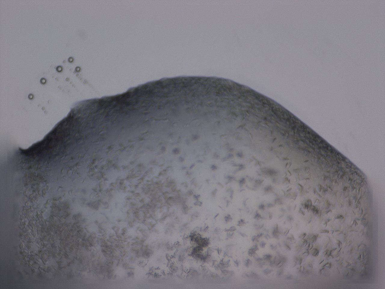 04gi_E11_ImagerDefaults_9.jpg