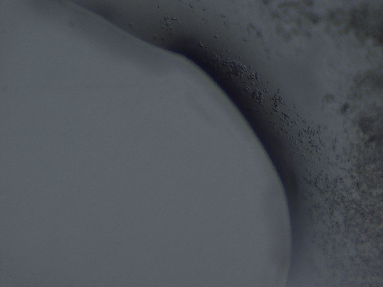 04gi_F2_ImagerDefaults_3.jpg