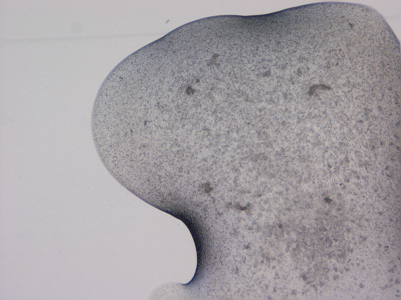 04gi_F3_ImagerDefaults_8.jpg