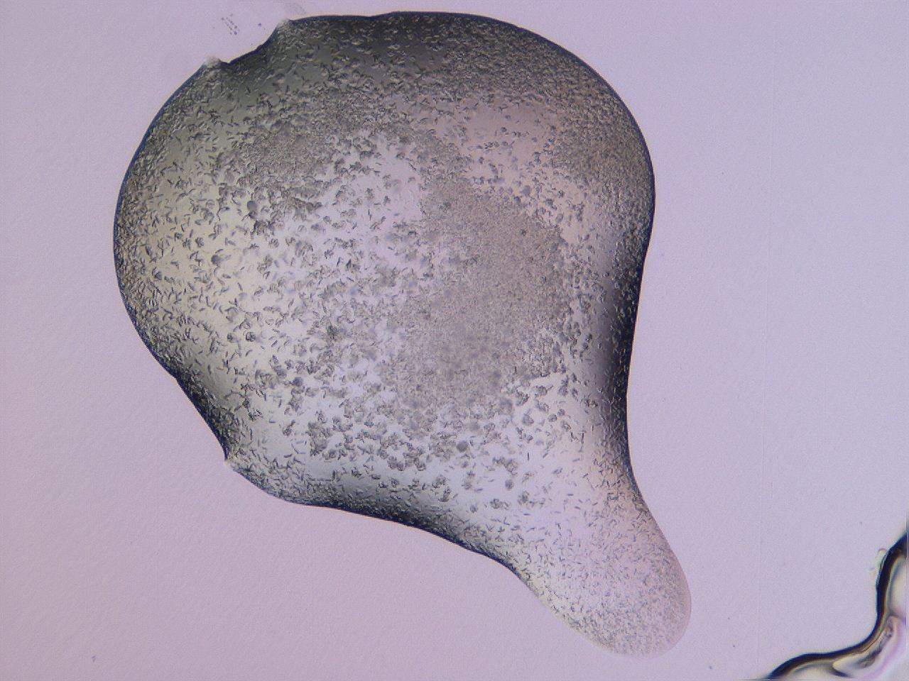 04gi_G3_ImagerDefaults_9.jpg