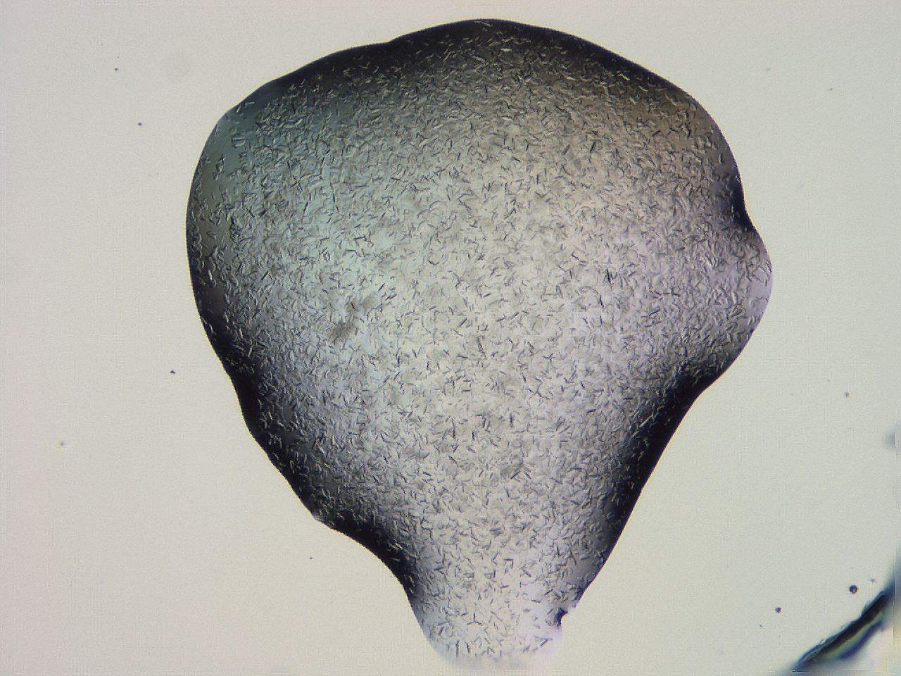 04gi_G10_ImagerDefaults_9.jpg