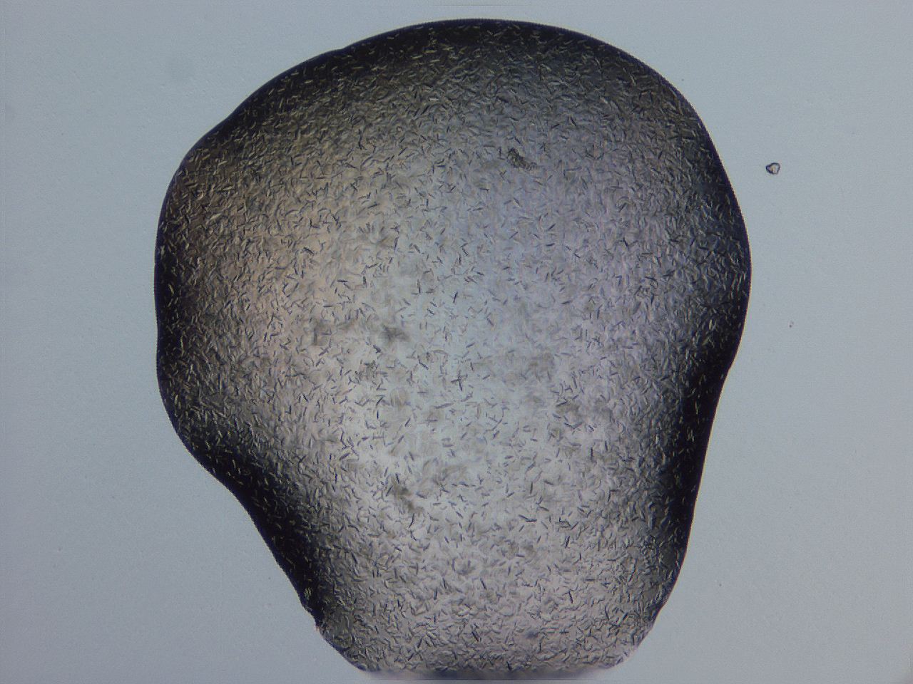 04gi_G11_ImagerDefaults_9.jpg