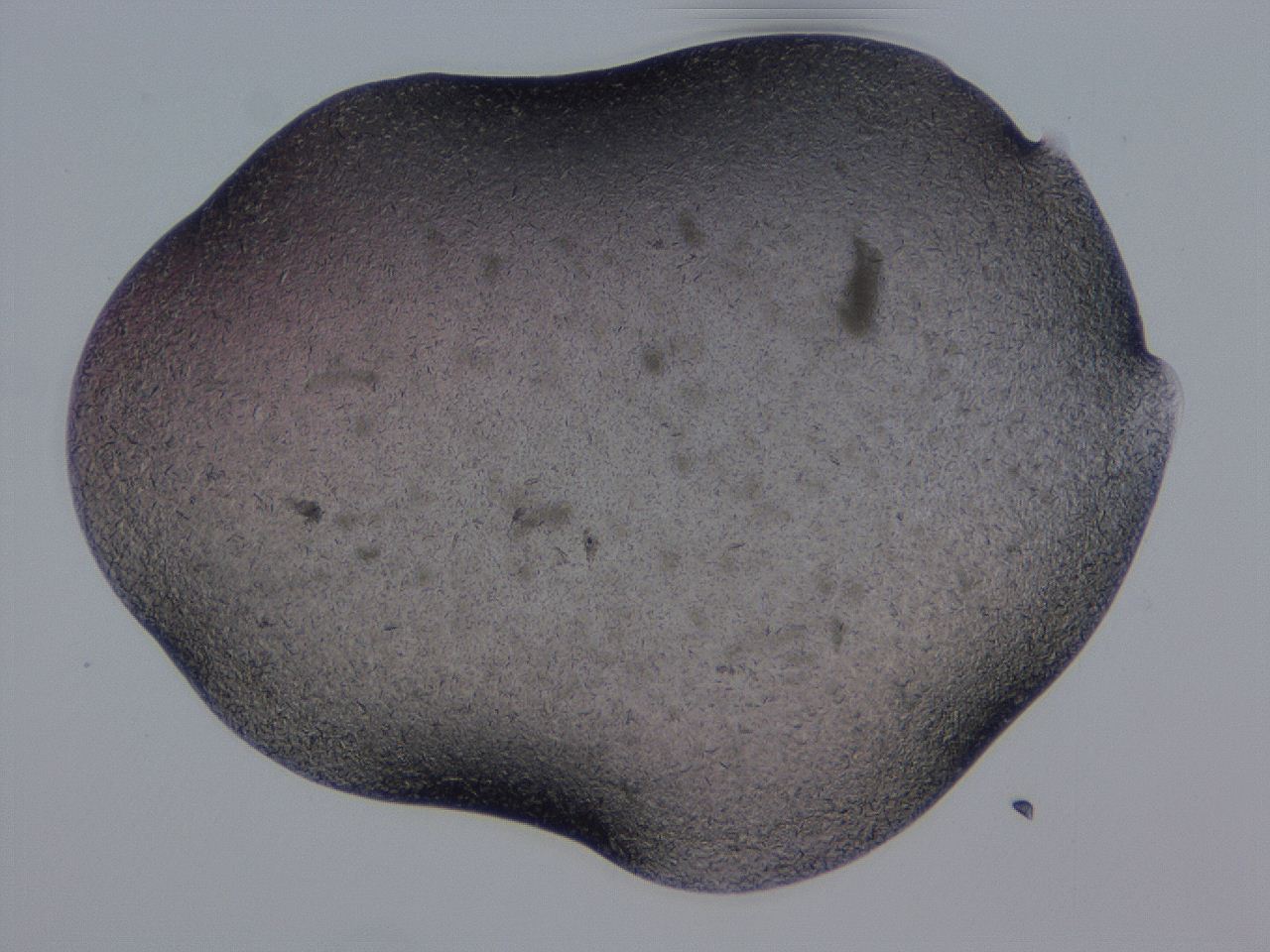 04gi_H3_ImagerDefaults_9.jpg