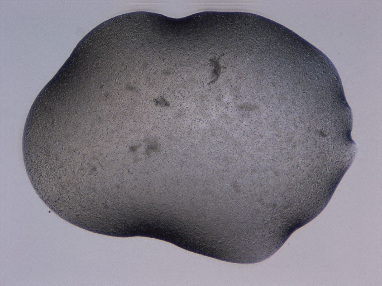04gi_H4_ImagerDefaults_9.jpg