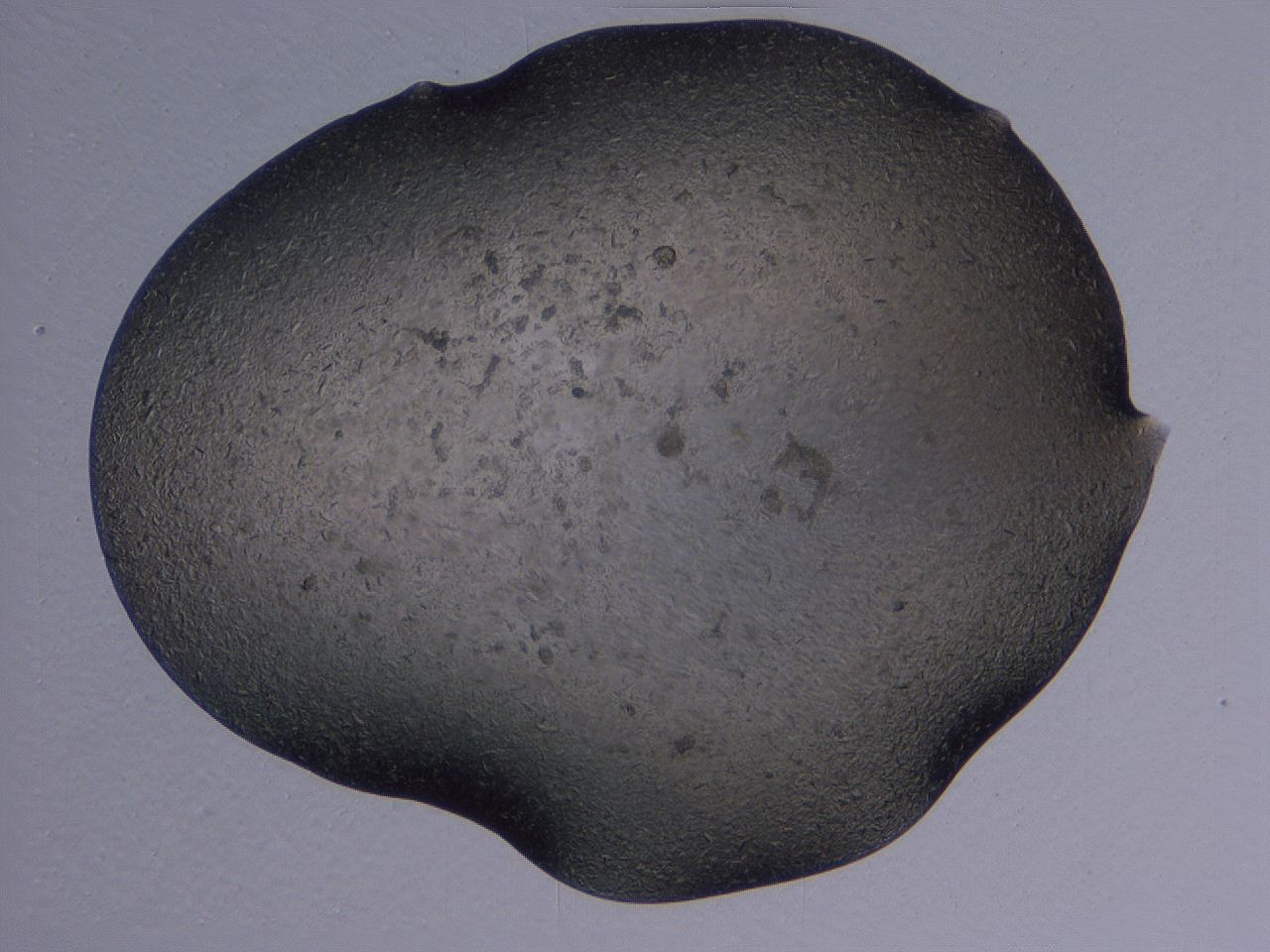 04gi_H5_ImagerDefaults_9.jpg