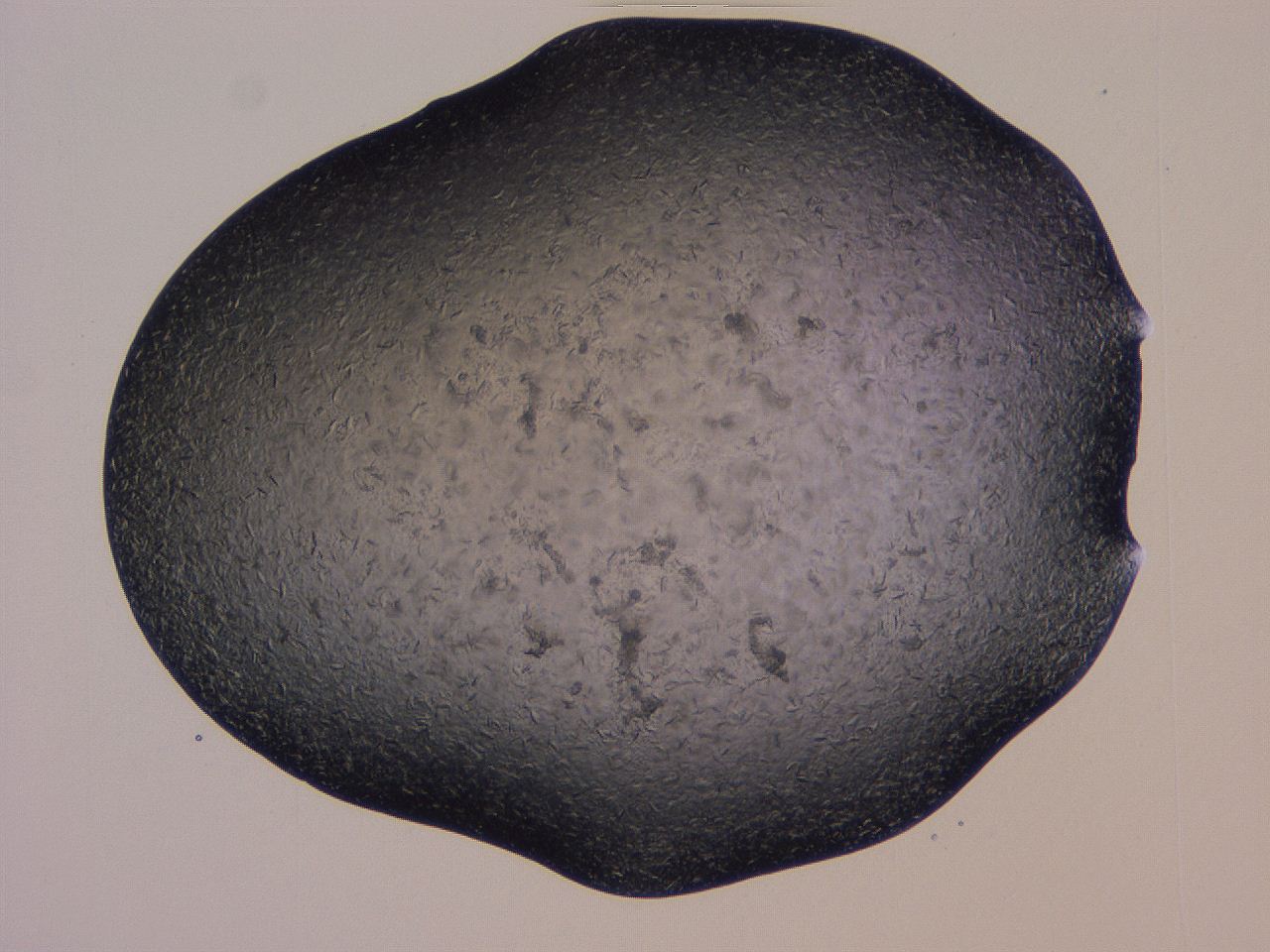 04gi_H6_ImagerDefaults_9.jpg
