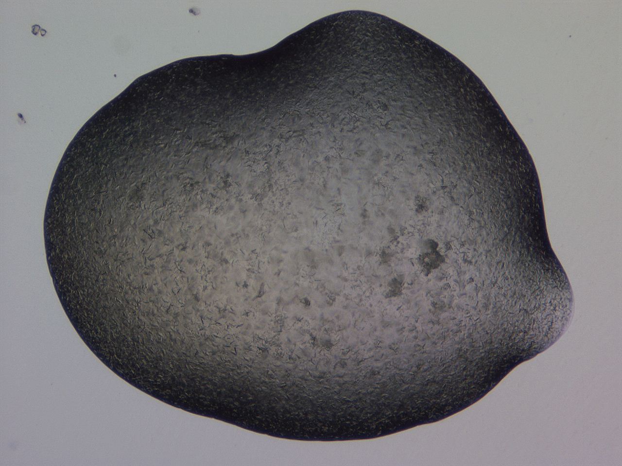 04gi_H7_ImagerDefaults_9.jpg