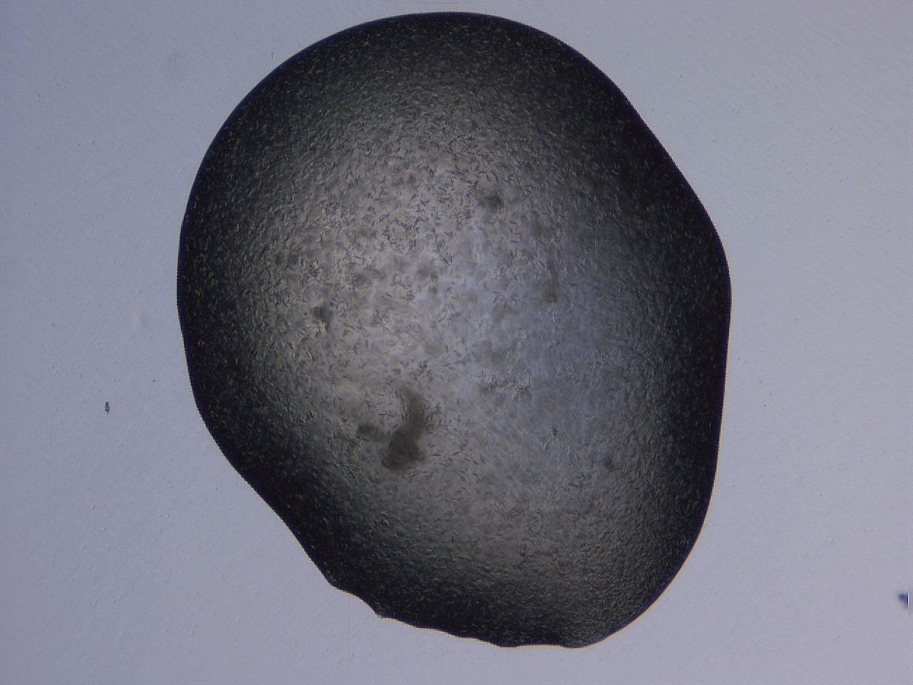 04gi_H9_ImagerDefaults_9.jpg