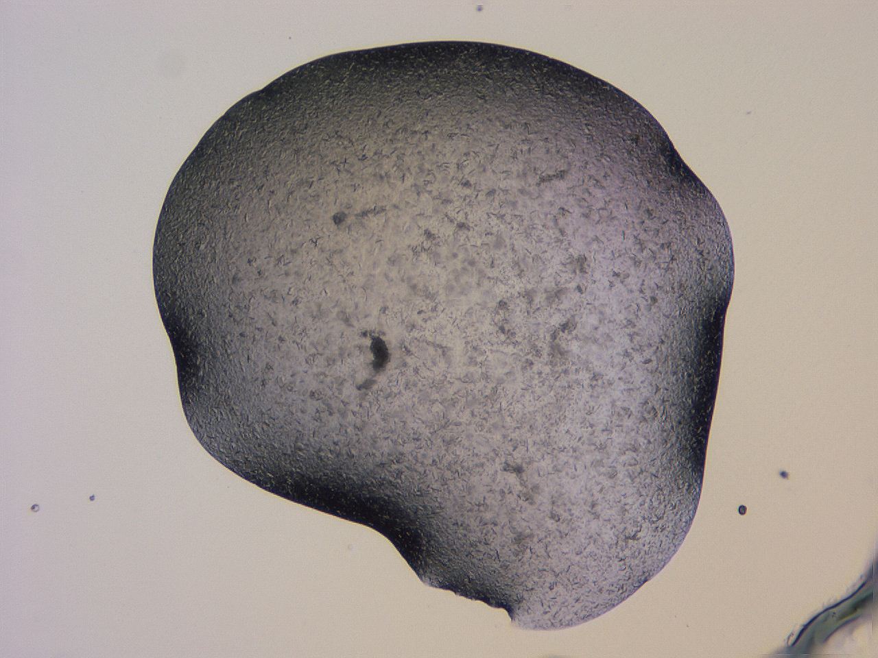 04gi_H10_ImagerDefaults_9.jpg