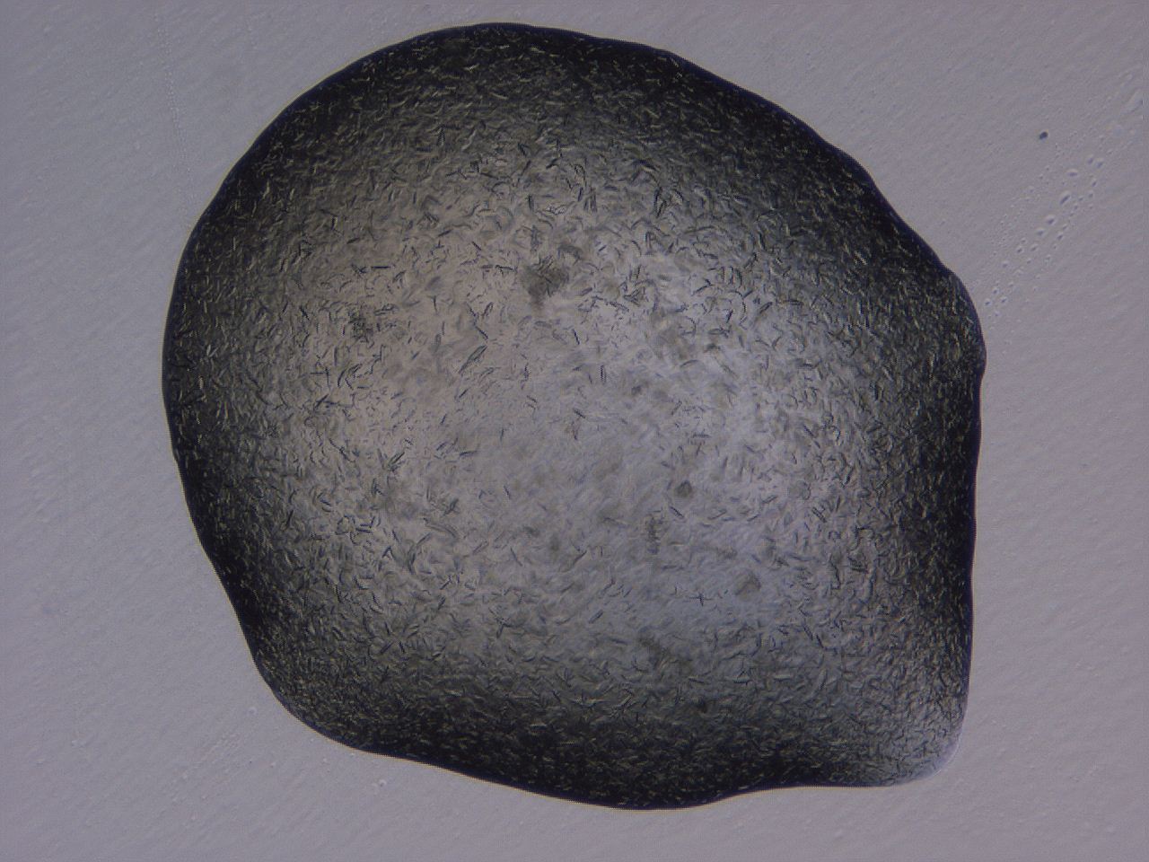 04gi_H12_ImagerDefaults_9.jpg