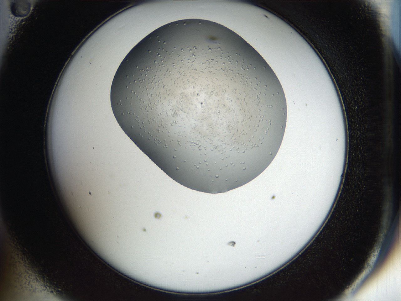 04gk_D11_ImagerDefaults_8.jpg