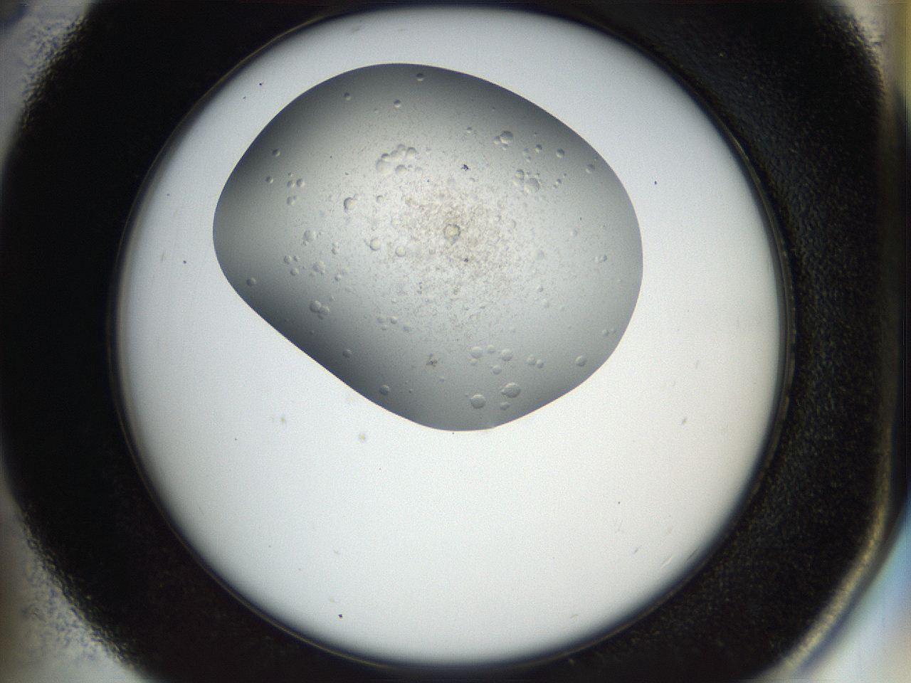 04gk_C5_ImagerDefaults_8.jpg