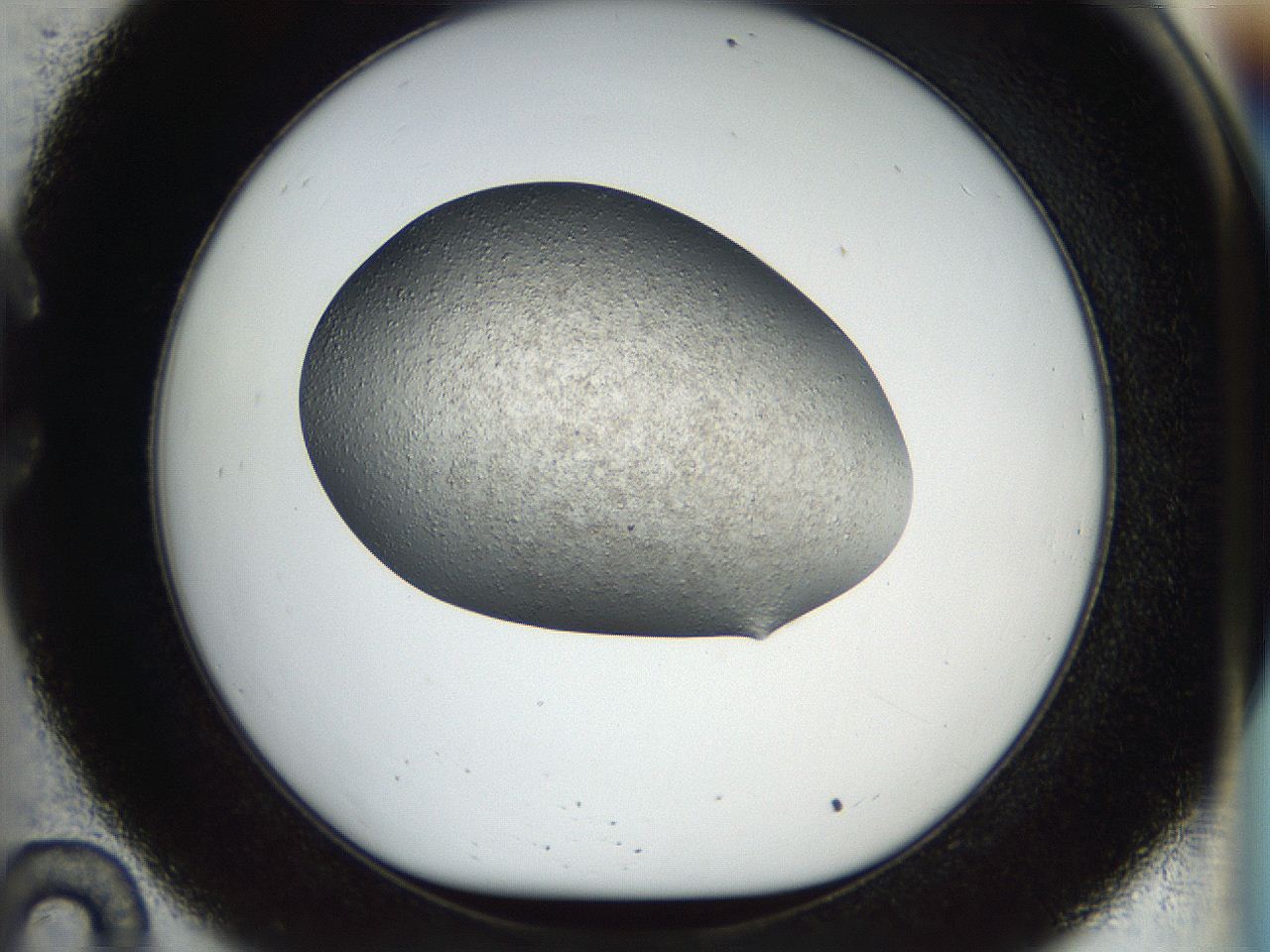 04gk_C10_ImagerDefaults_6.jpg