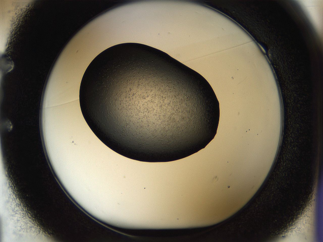 04gk_E1_ImagerDefaults_6.jpg