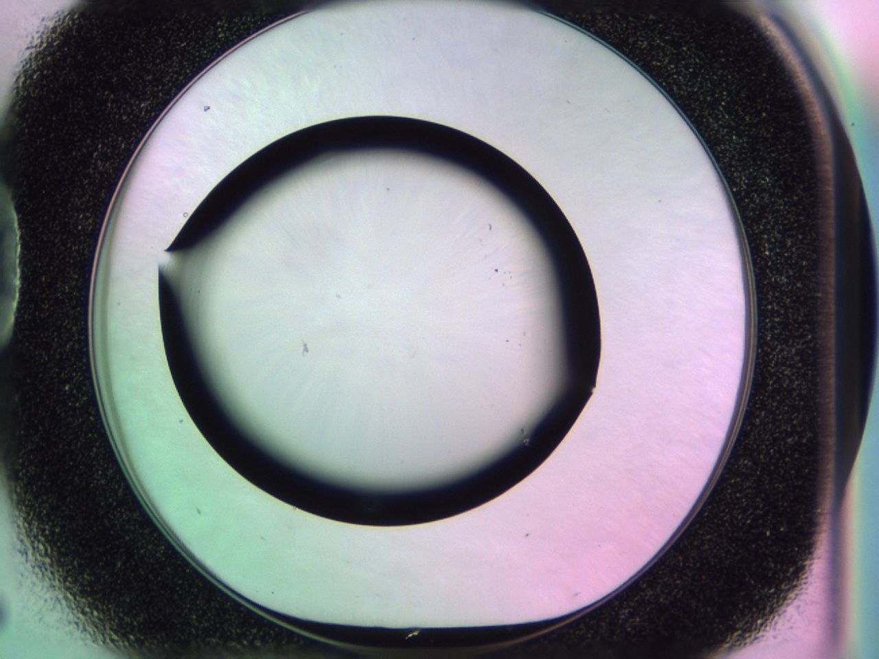 018j_D5_ImagerDefaults_0.jpg