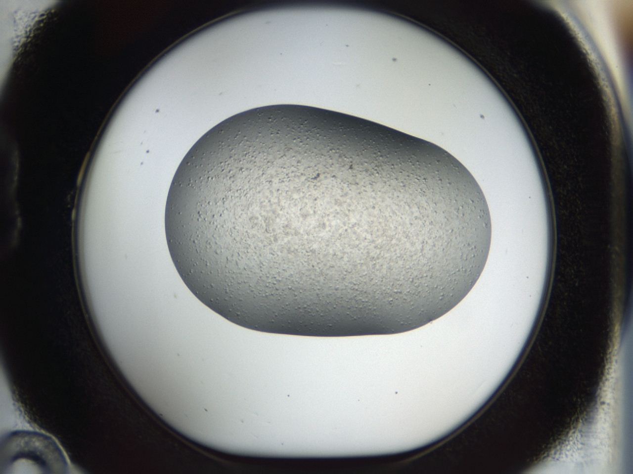 04gm_B10_ImagerDefaults_6.jpg