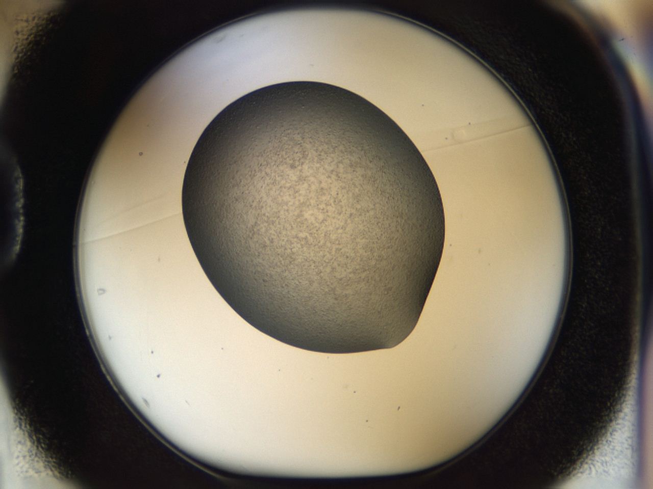 04gn_D1_ImagerDefaults_6.jpg