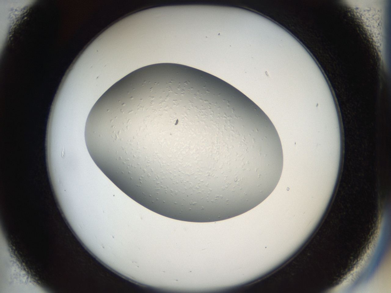04gn_B7_ImagerDefaults_6.jpg