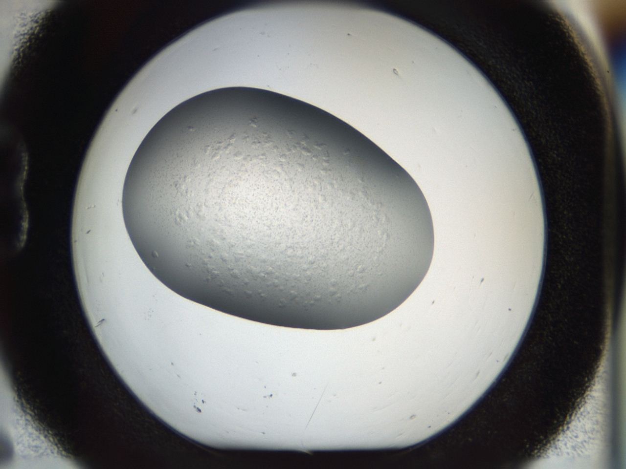 04gn_B6_ImagerDefaults_6.jpg