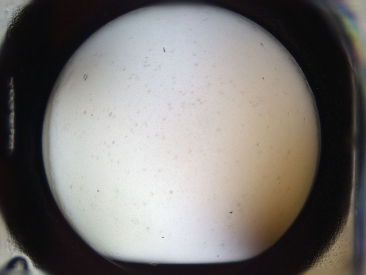 04go_H11_ImagerDefaults_7.jpg