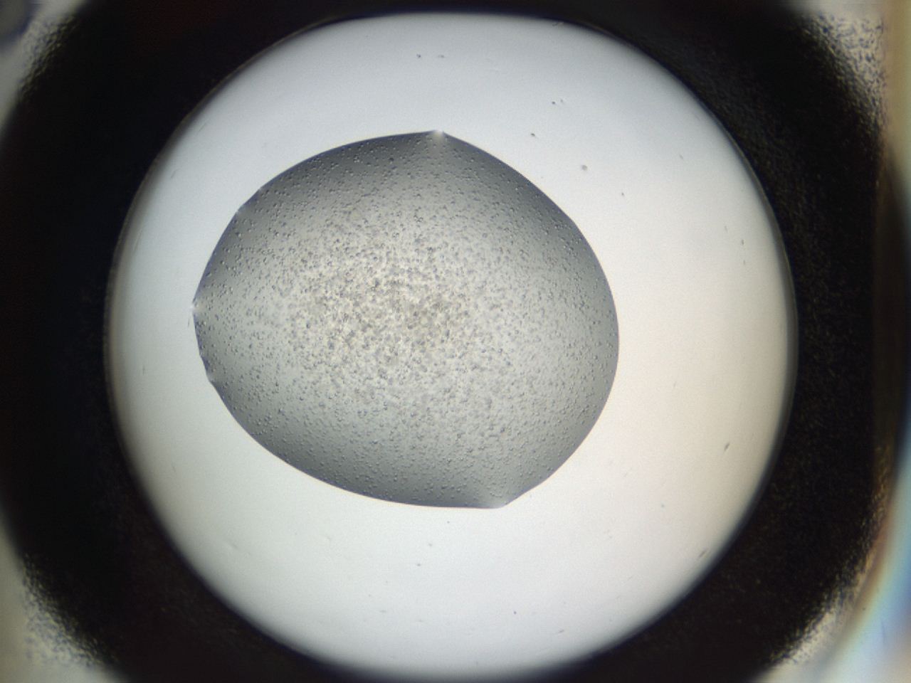 04go_D6_ImagerDefaults_6.jpg
