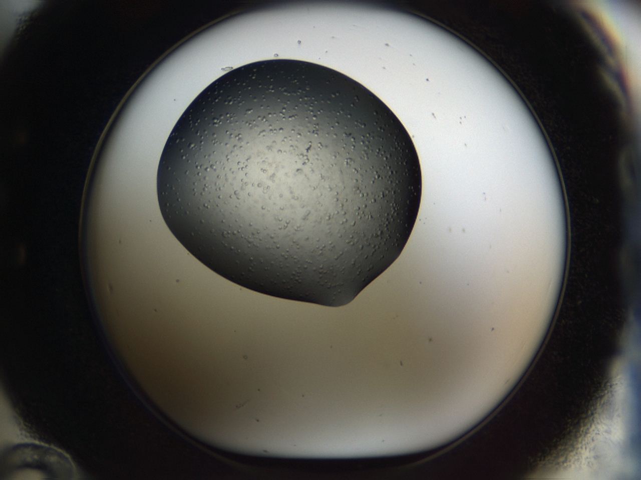 04gp_E12_ImagerDefaults_8.jpg