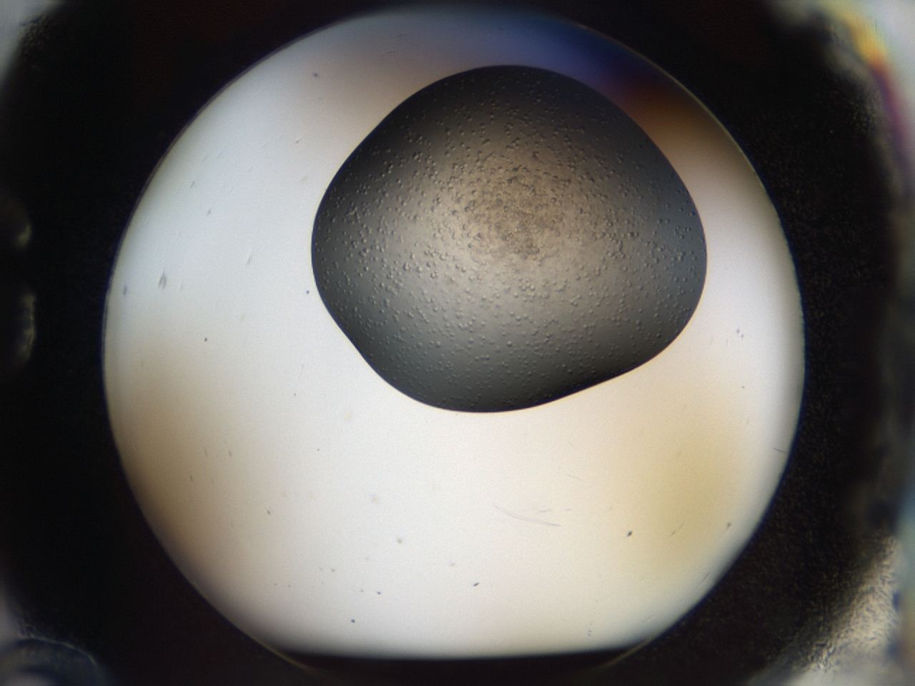 04gp_G12_ImagerDefaults_7.jpg