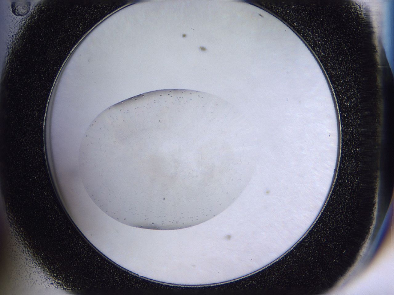 04gq_D11_ImagerDefaults_6.jpg
