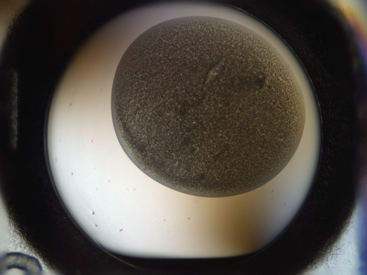 04gw_H12_ImagerDefaults_8.jpg