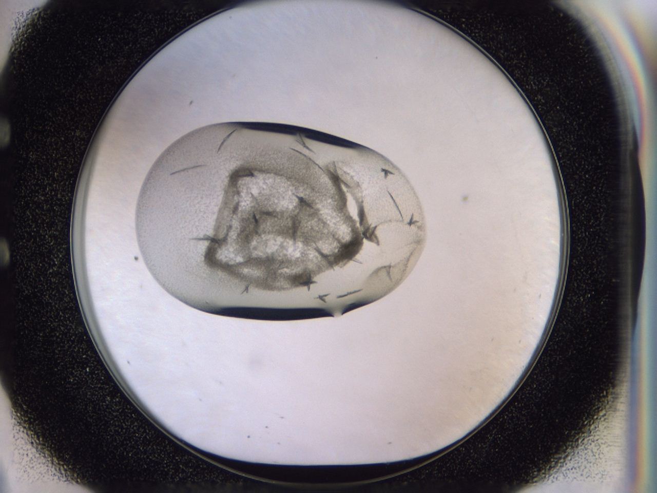 04h2_E9_ImagerDefaults_9.jpg