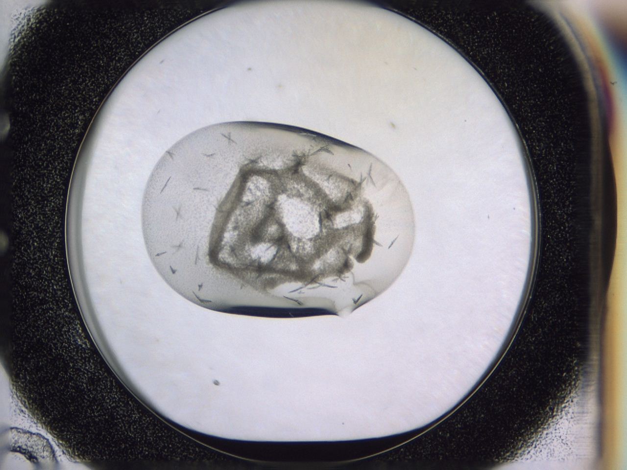 04h2_E10_ImagerDefaults_9.jpg