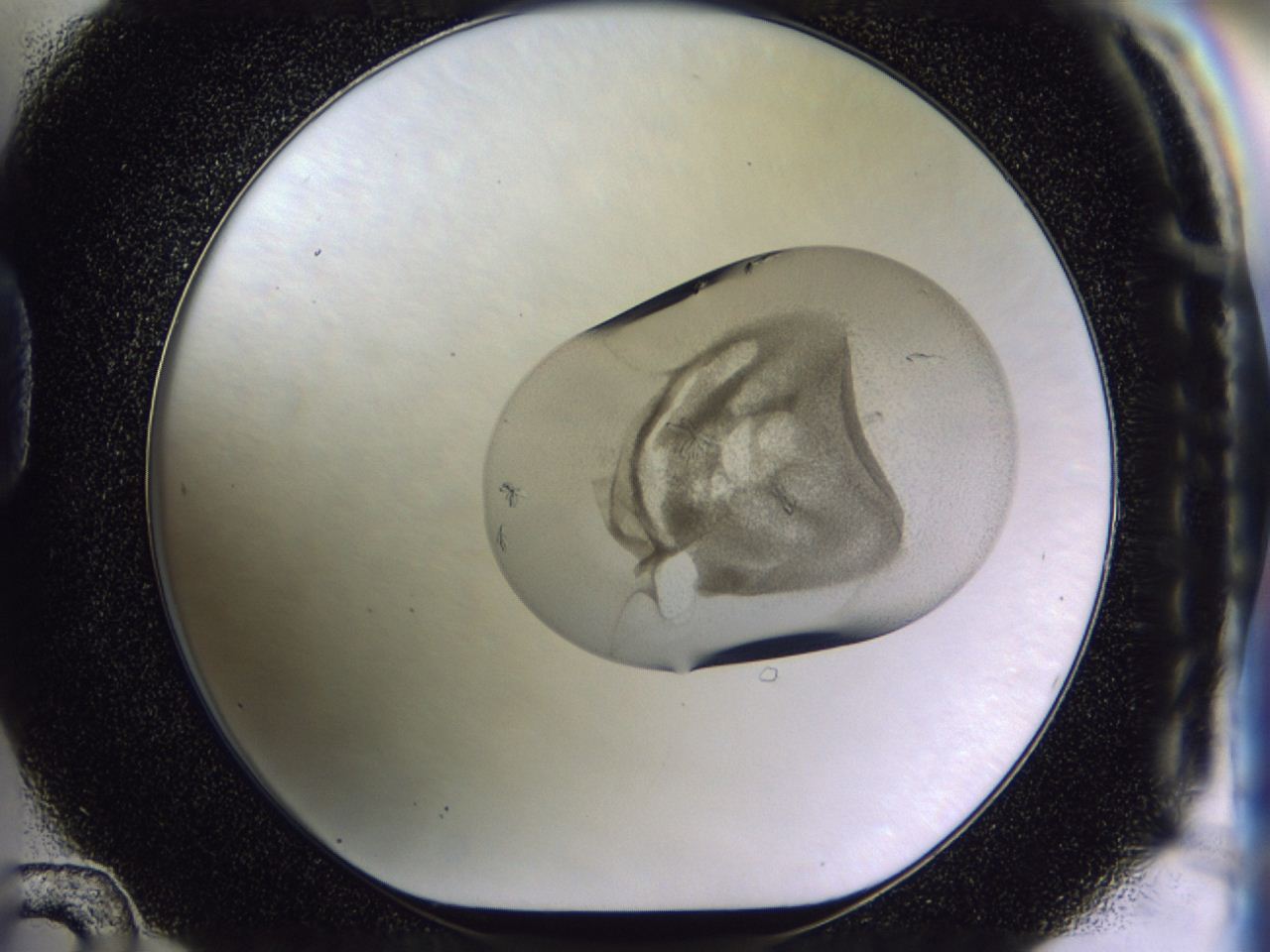 04h2_D12_ImagerDefaults_9.jpg