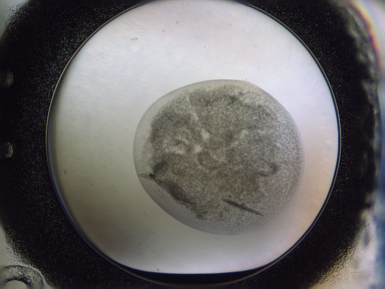 04h2_E12_ImagerDefaults_9.jpg