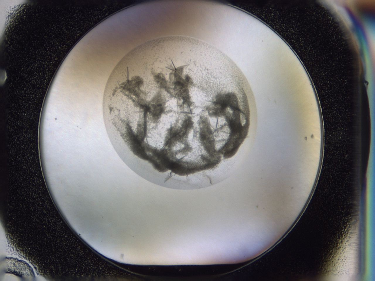 04h2_F10_ImagerDefaults_9.jpg