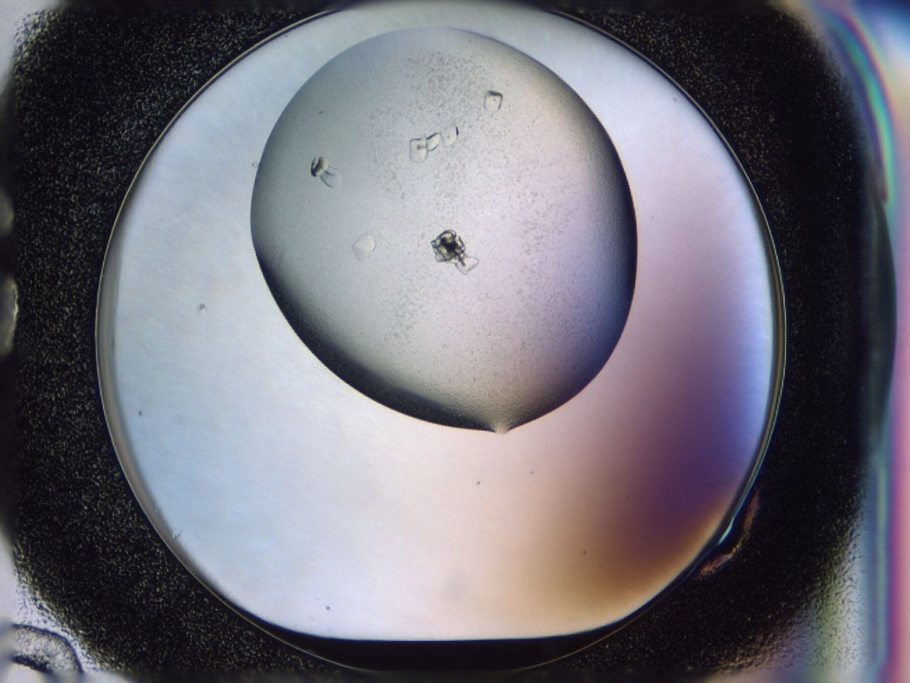 04h2_G10_ImagerDefaults_9.jpg