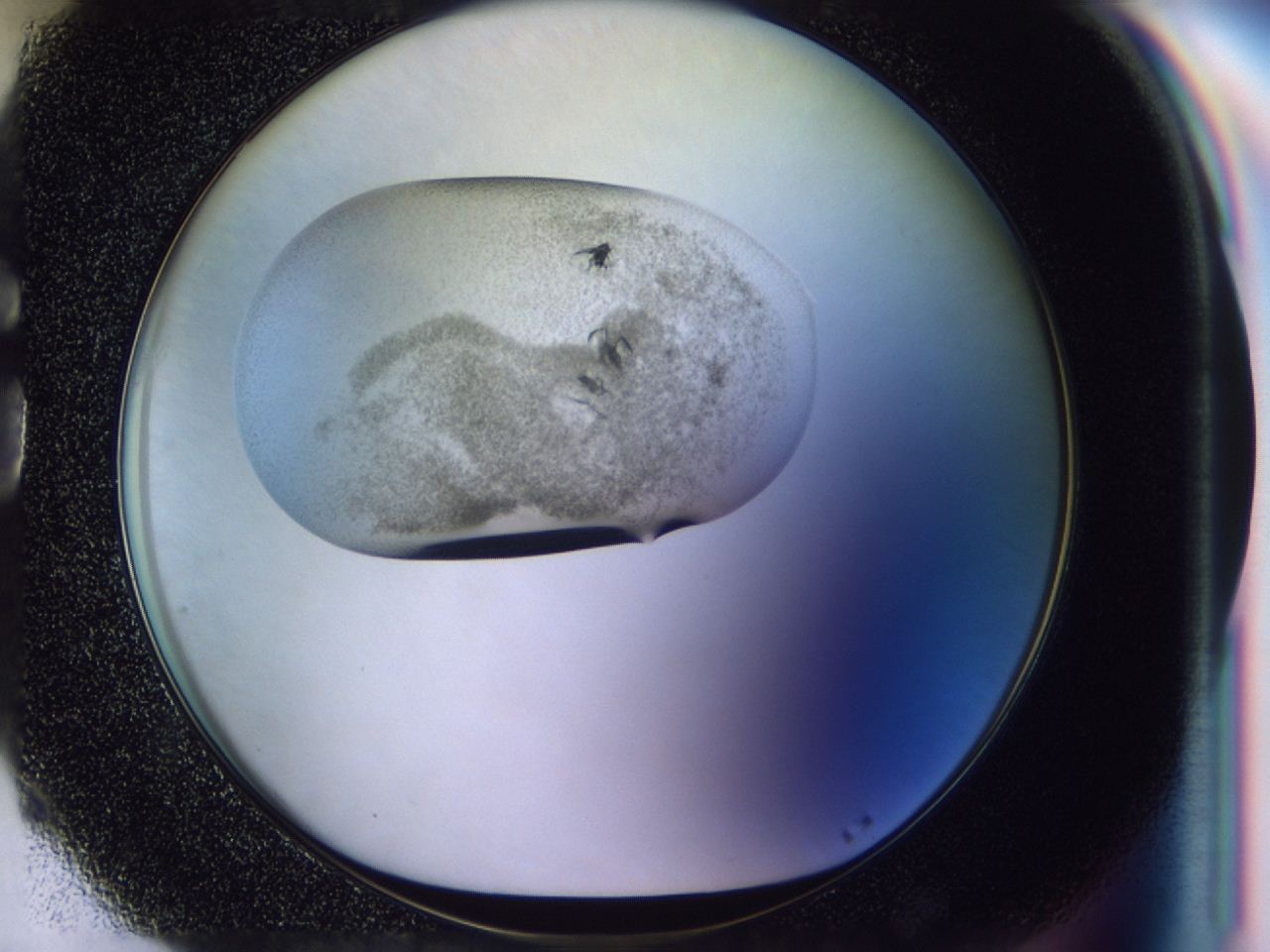 04h2_G5_ImagerDefaults_9.jpg