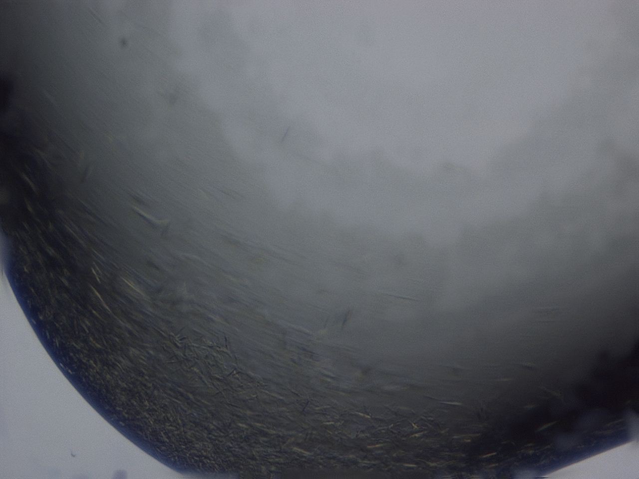 04hc_E4_ImagerDefaults_8.jpg