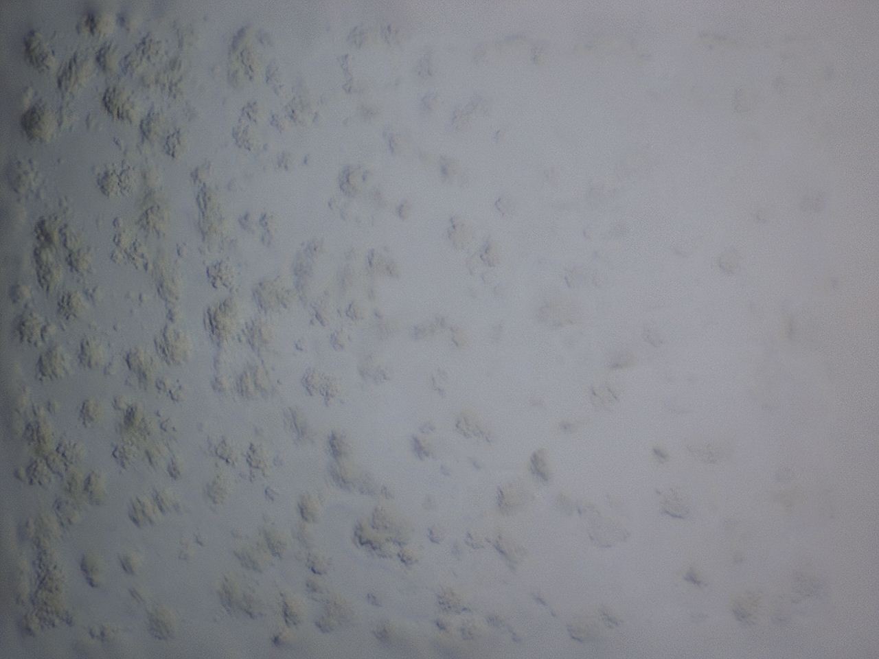 04hc_E6_ImagerDefaults_8.jpg