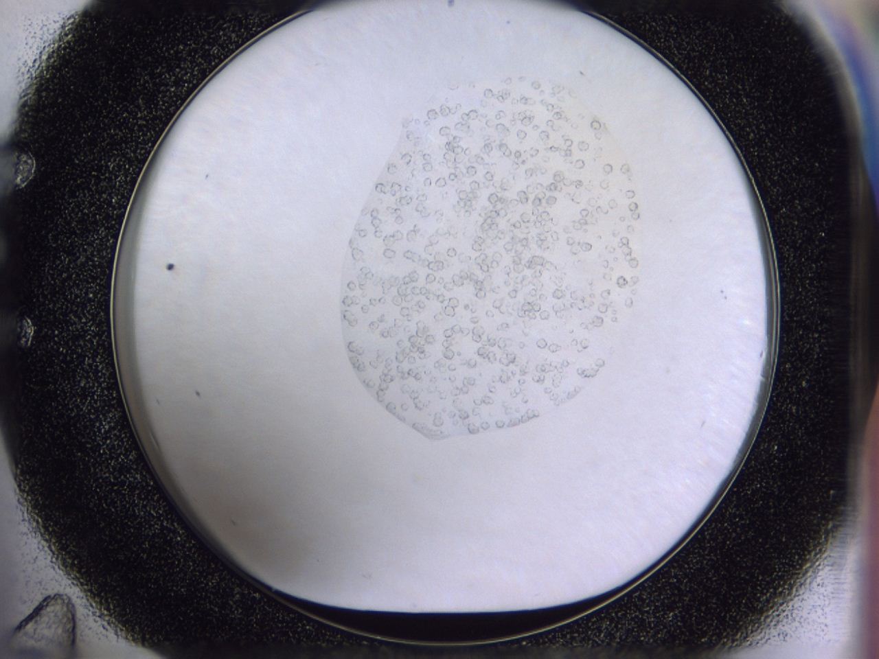 04hc_E11_ImagerDefaults_9.jpg