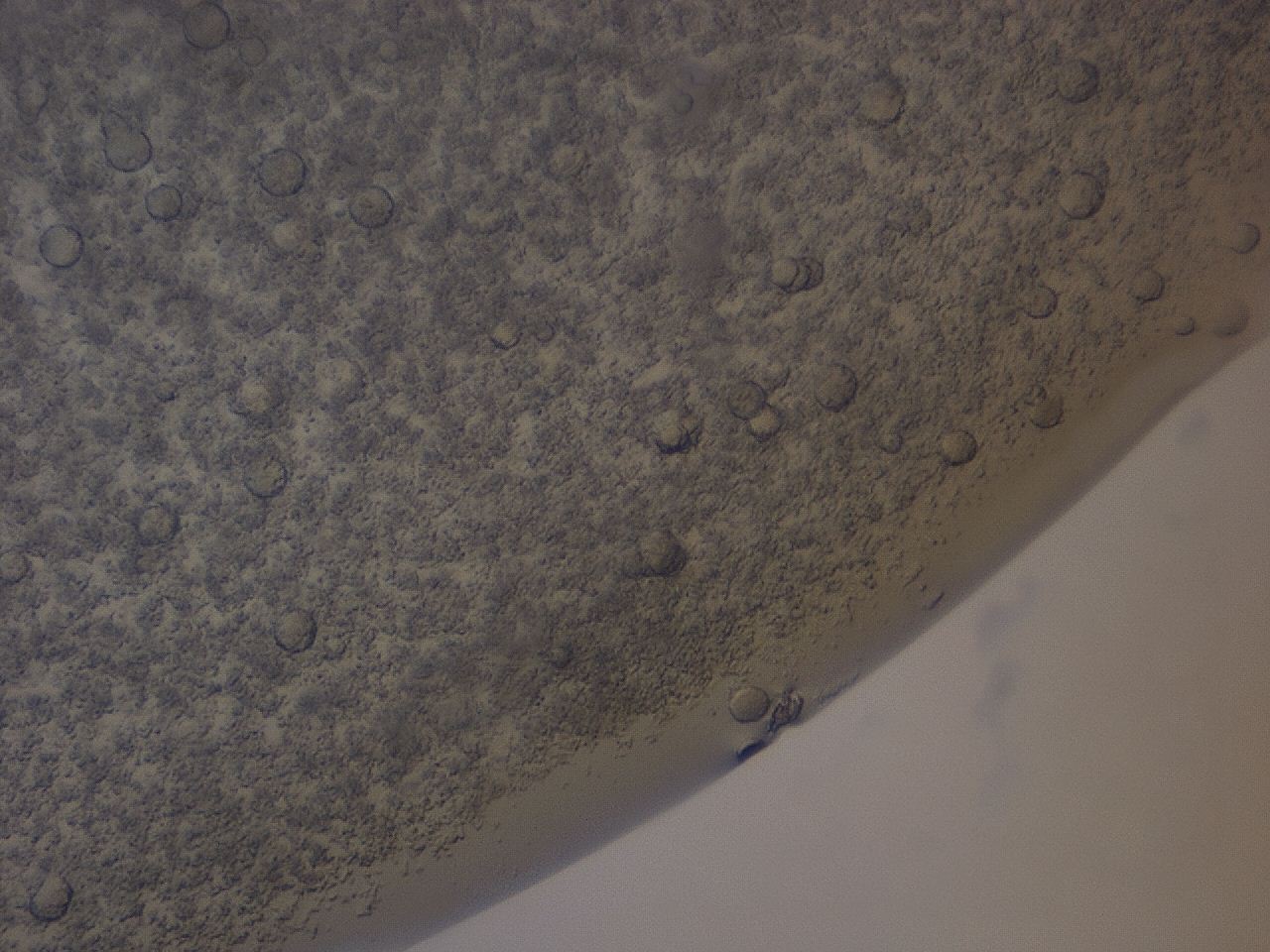 04hc_G12_ImagerDefaults_9.jpg