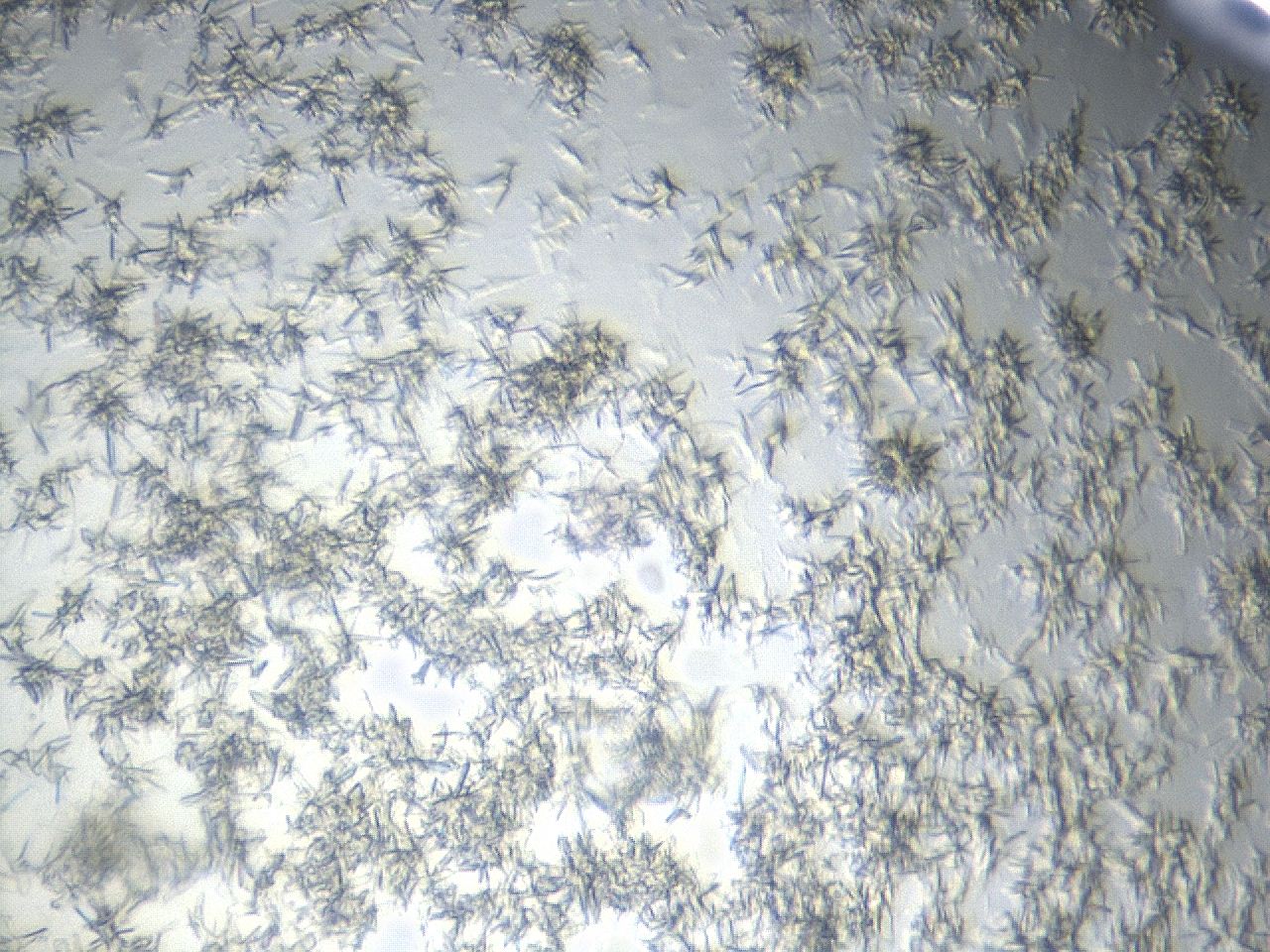 04hd_G11_ImagerDefaults_6.jpg