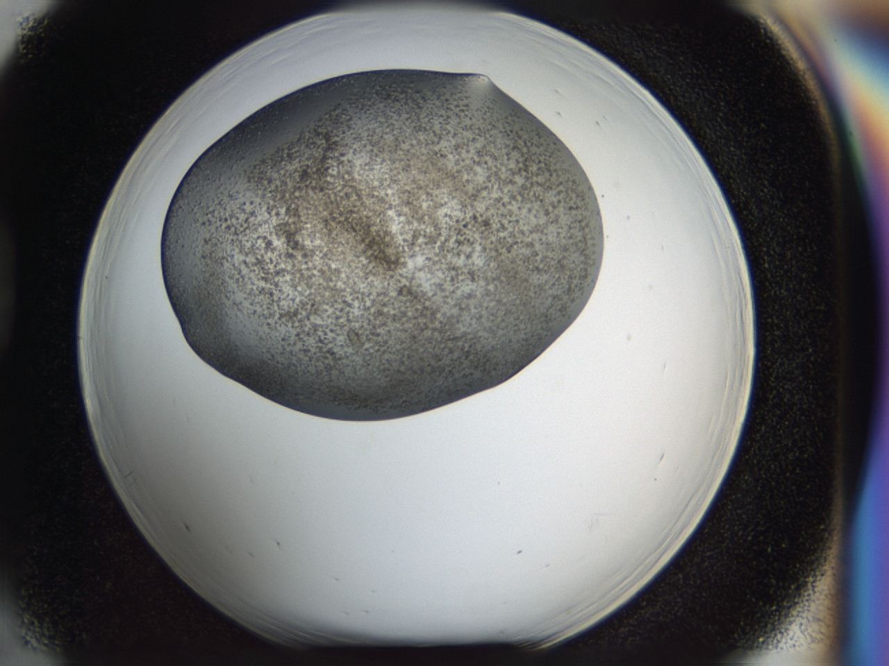 04hd_D5_ImagerDefaults_8.jpg