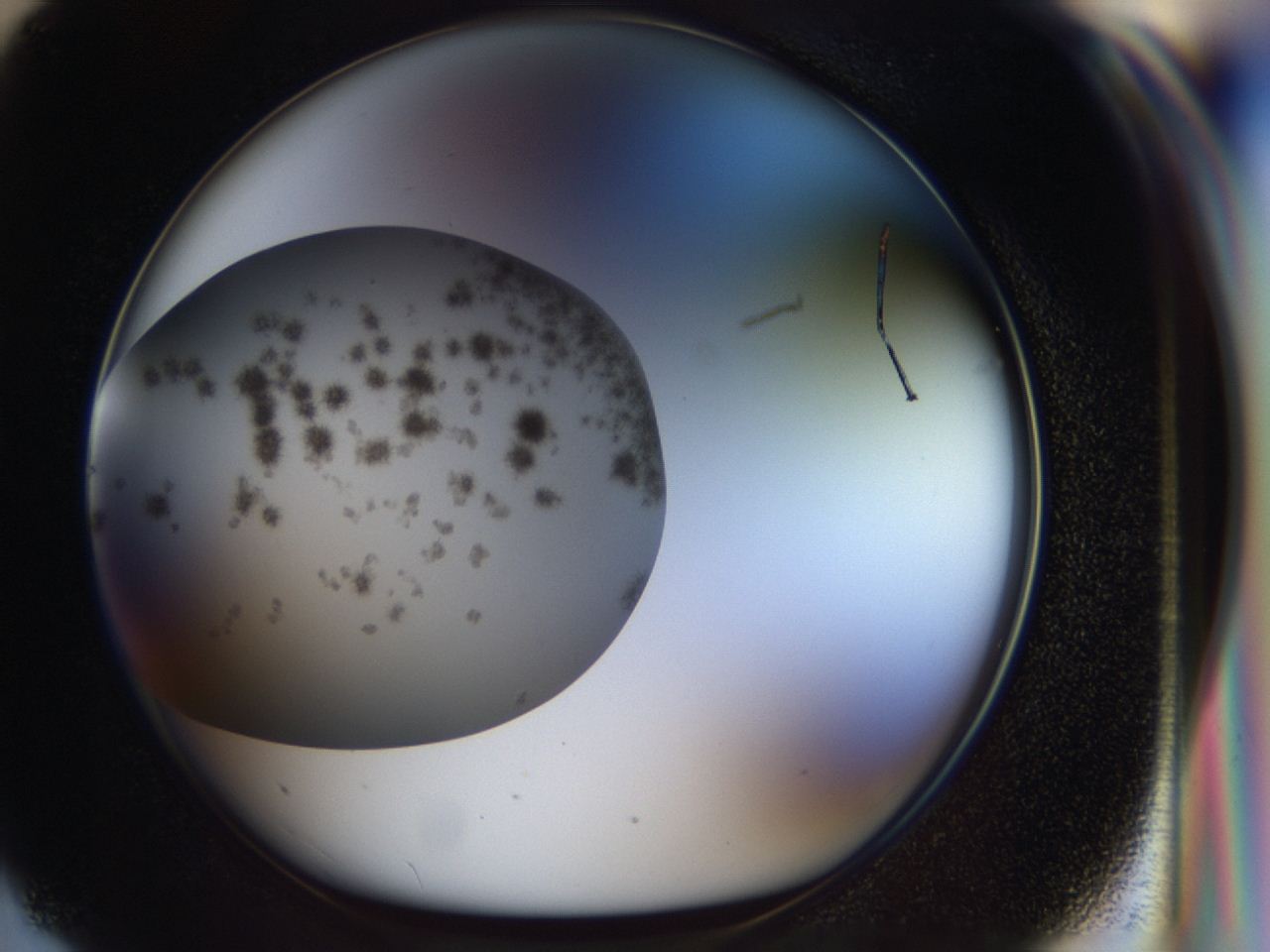 04hd_G3_ImagerDefaults_8.jpg