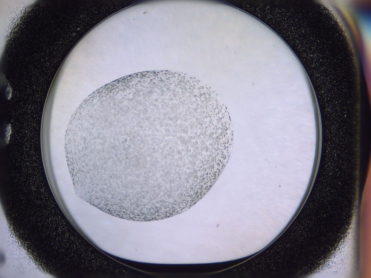 04he_C5_ImagerDefaults_8.jpg