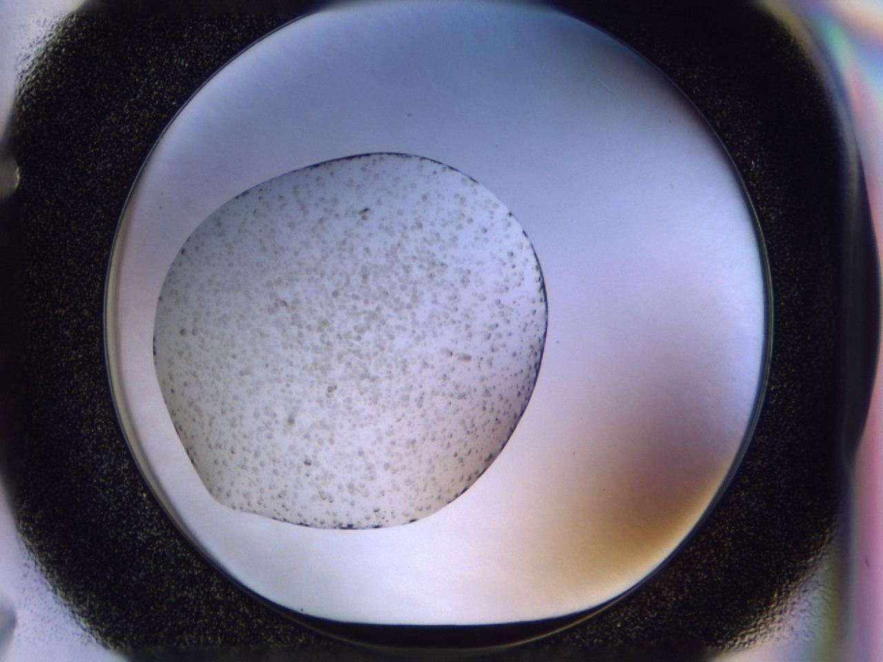 04he_F7_ImagerDefaults_8.jpg