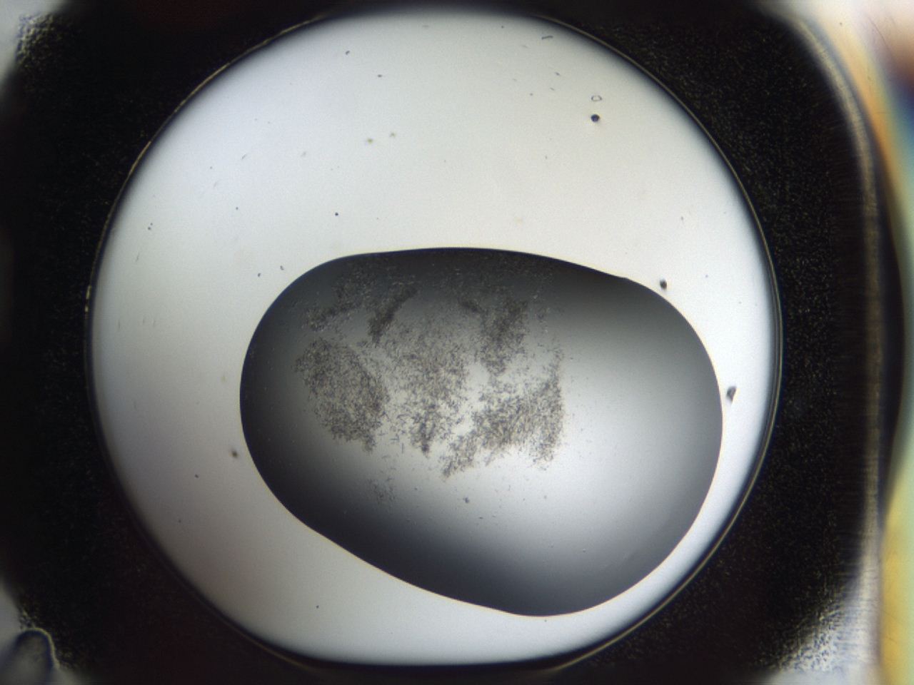 04hf_D11_ImagerDefaults_8.jpg